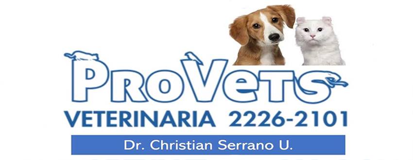 Provets Veterinaria