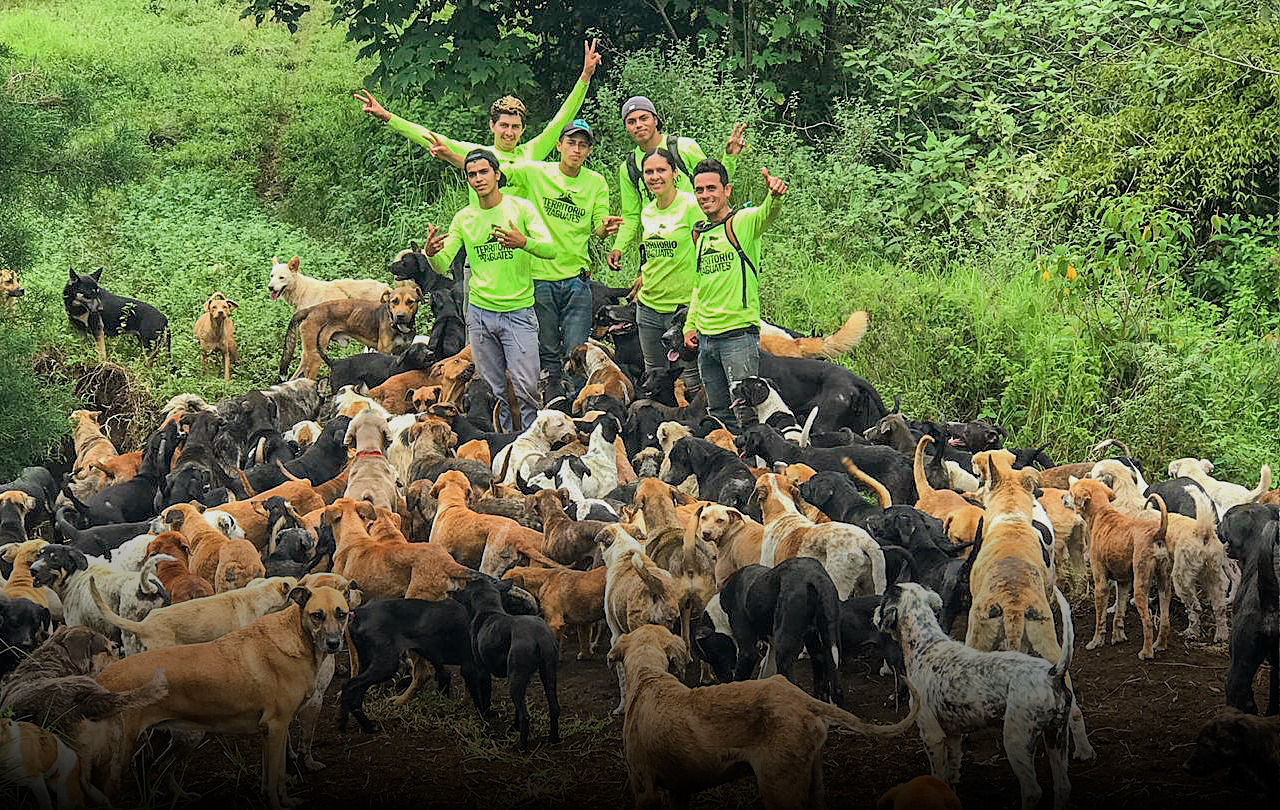 Territorio de Zaguates